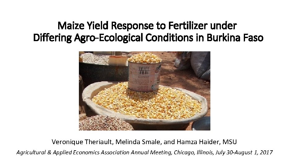 Maize Yield Response to Fertilizer under Differing Agro-Ecological Conditions in Burkina Faso Veronique Theriault,