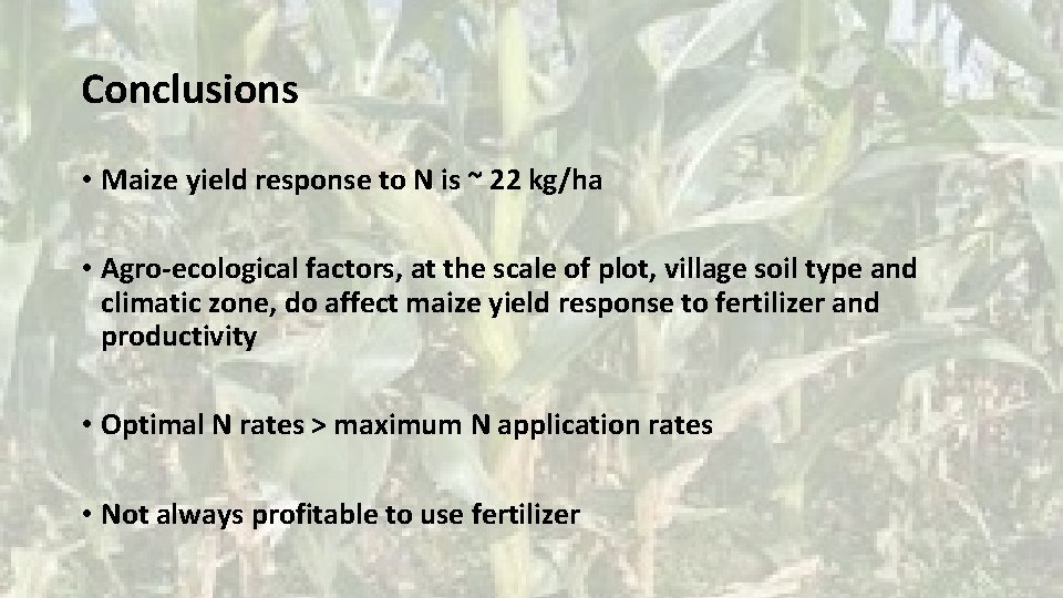 Conclusions • Maize yield response to N is ~ 22 kg/ha • Agro-ecological factors,