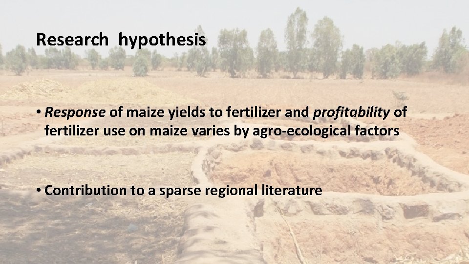 Research hypothesis • Response of maize yields to fertilizer and profitability of fertilizer use