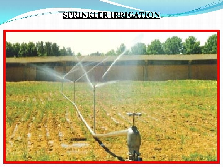 SPRINKLER IRRIGATION 