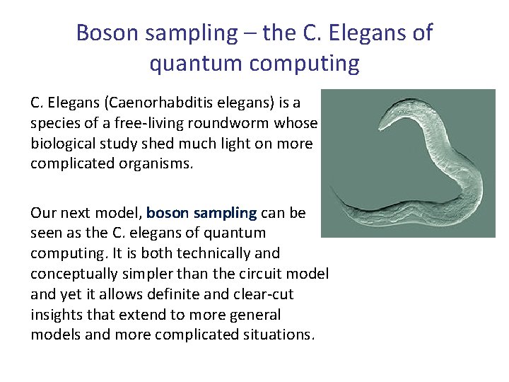 Boson sampling – the C. Elegans of quantum computing C. Elegans (Caenorhabditis elegans) is