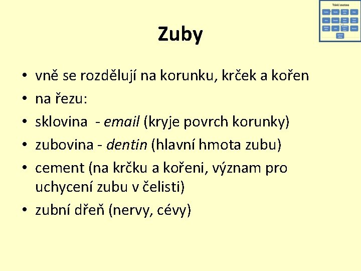 Zuby vně se rozdělují na korunku, krček a kořen na řezu: sklovina - email