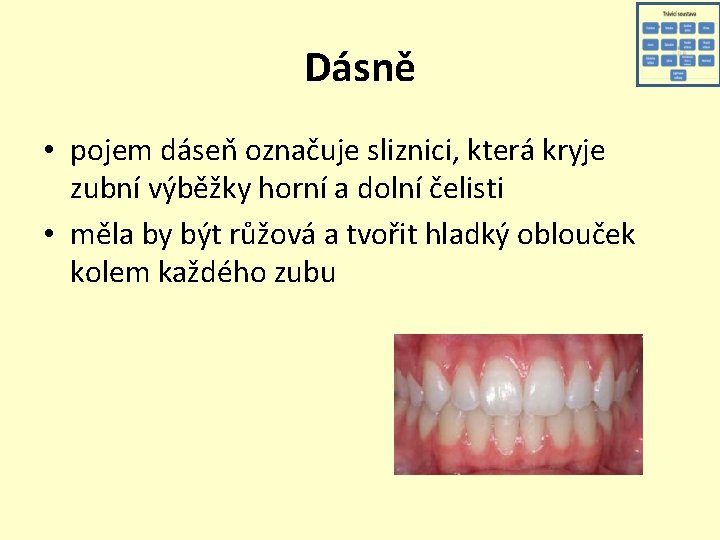 Dásně • pojem dáseň označuje sliznici, která kryje zubní výběžky horní a dolní čelisti