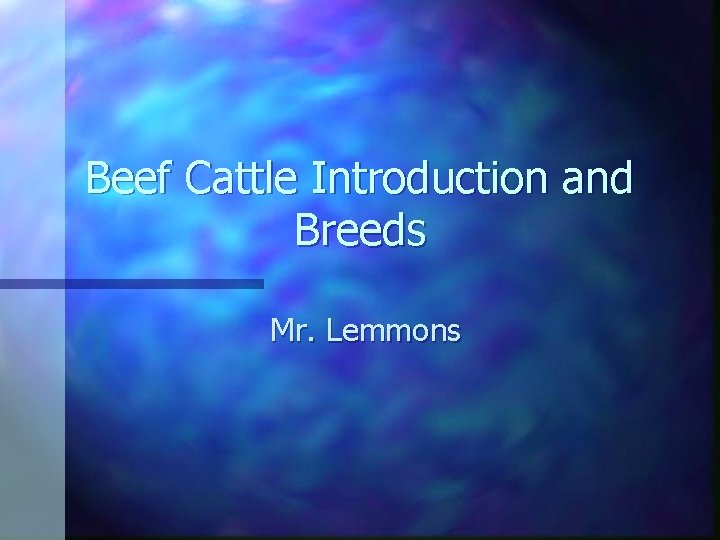 Beef Cattle Introduction and Breeds Mr. Lemmons 