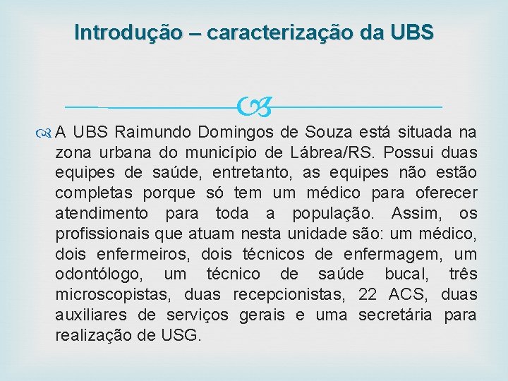 Introdução – caracterização da UBS A UBS Raimundo Domingos de Souza está situada na