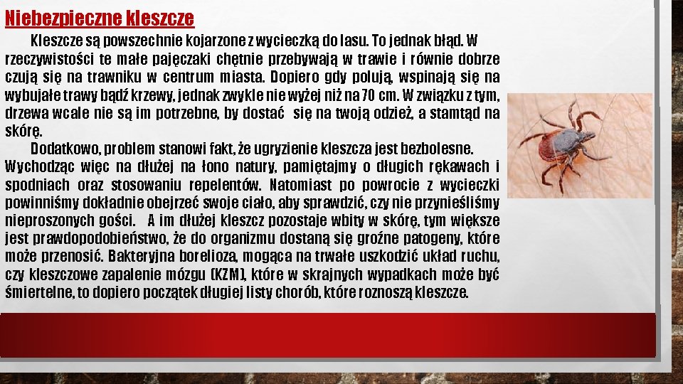 Niebezpieczne kleszcze Kleszcze są powszechnie kojarzone z wycieczką do lasu. To jednak błąd. W