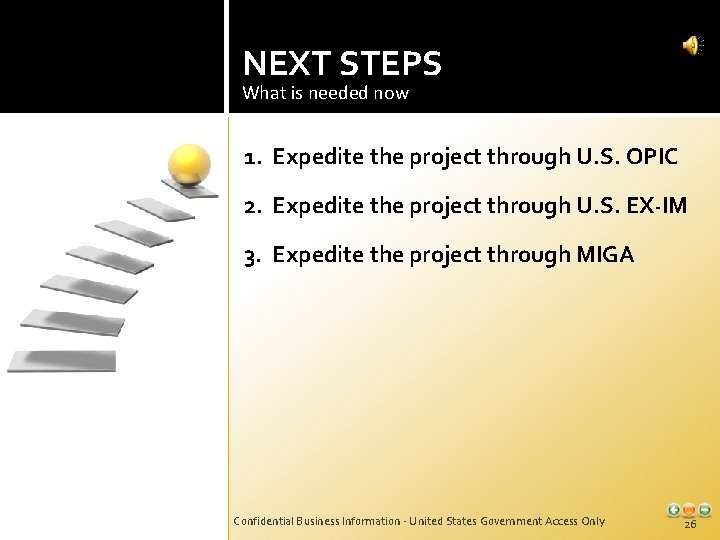 NEXT STEPS What is needed now 1. Expedite the project through U. S. OPIC