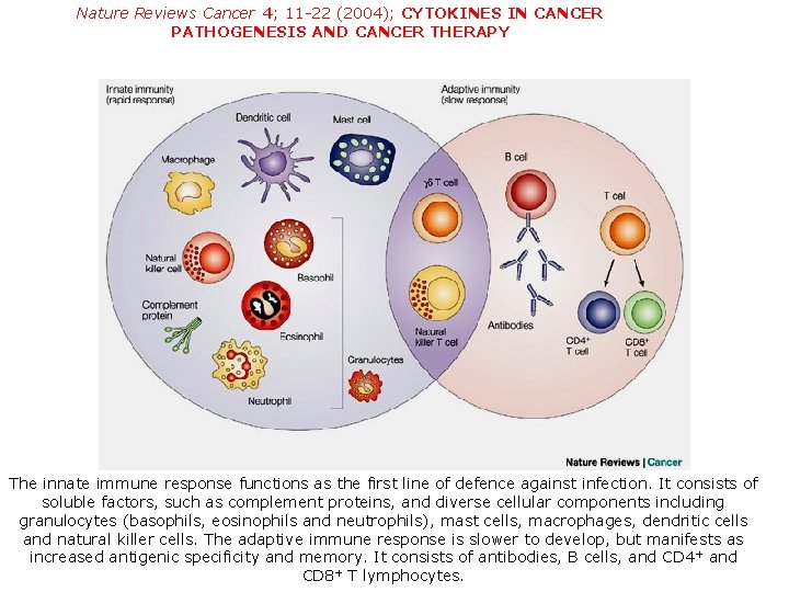 Nature Reviews Cancer 4; 11 -22 (2004); CYTOKINES IN CANCER PATHOGENESIS AND CANCER THERAPY