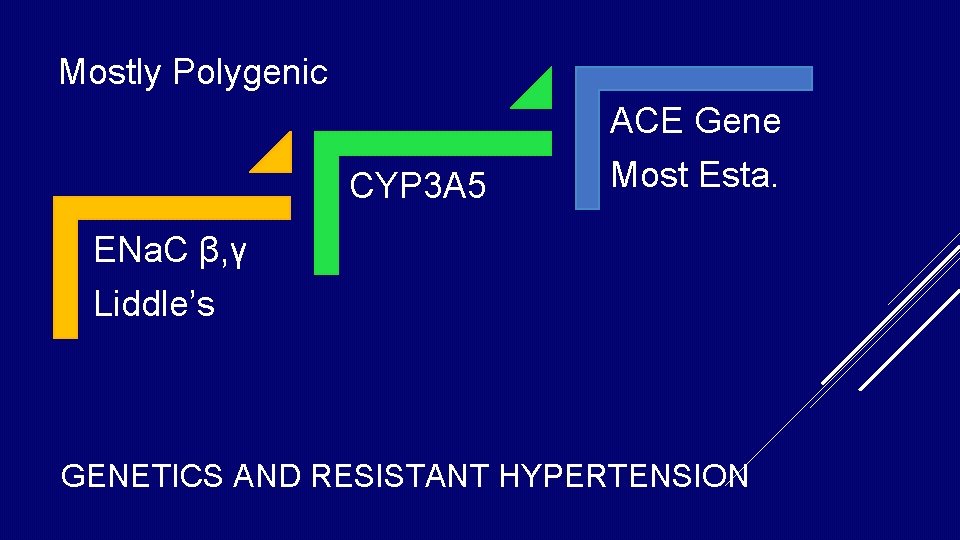 Mostly Polygenic ACE Gene CYP 3 A 5 Most Esta. ENa. C β, γ Mostly Polygenic ACE Gene CYP 3 A 5 Most Esta. ENa. C β, γ