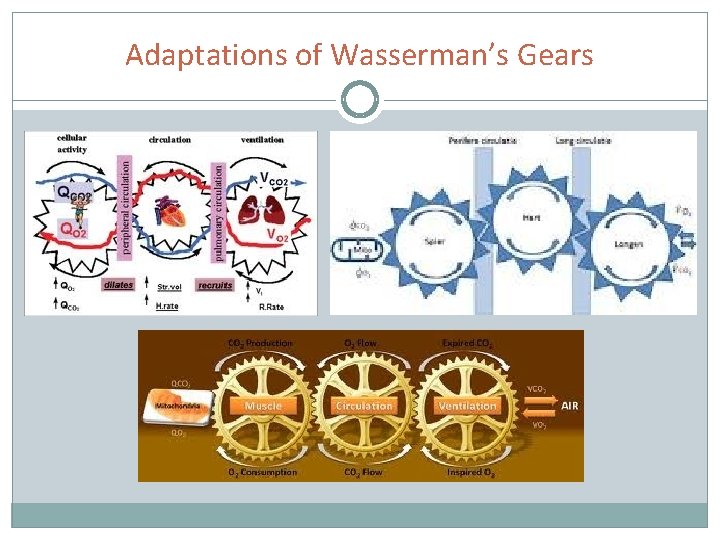 Adaptations of Wasserman’s Gears 