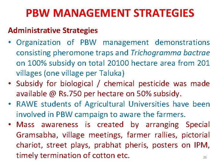 PBW MANAGEMENT STRATEGIES Administrative Strategies • Organization of PBW management demonstrations consisting pheromone traps