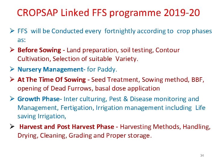 CROPSAP Linked FFS programme 2019 -20 Ø FFS will be Conducted every fortnightly according