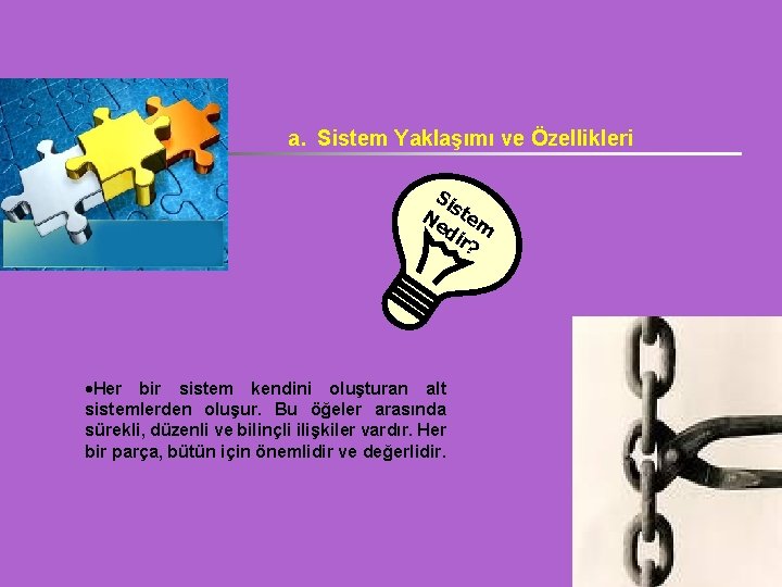 a. Sistem Yaklaşımı ve Özellikleri Si Ne stem di r? Her bir sistem kendini