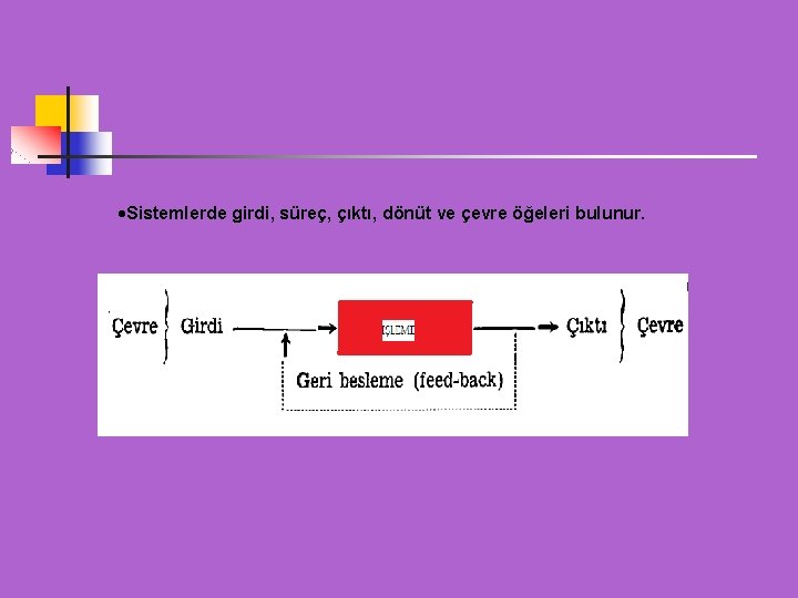  Sistemlerde girdi, süreç, çıktı, dönüt ve çevre öğeleri bulunur. 