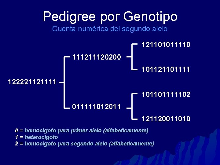 Pedigree por Genotipo Cuenta numérica del segundo alelo 121101011110 11120200 101121101111 122221121111 101101111102 011111012011