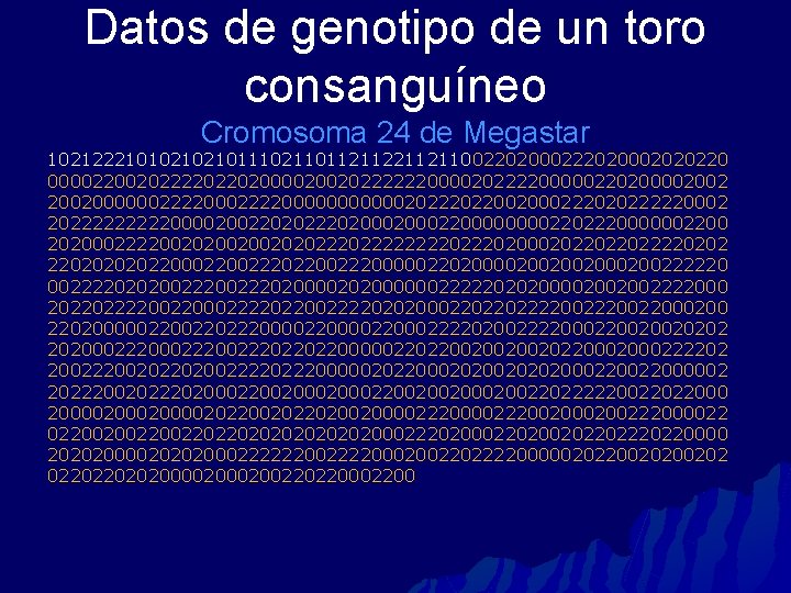 Datos de genotipo de un toro consanguíneo Cromosoma 24 de Megastar 1021222101021021011102110112112110022020002020220 000022002022220220200002002022222200002022220000022020000200200000022220000002022002000222020222220002 2022222000020022020222020002200002202220000002200