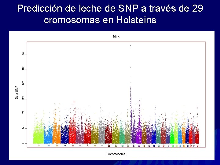 Predicción de leche de SNP a través de 29 cromosomas en Holsteins 