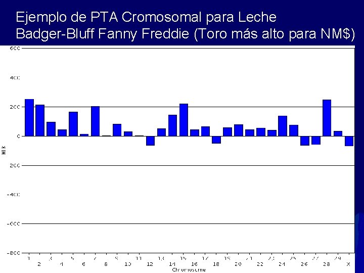 Ejemplo de PTA Cromosomal para Leche Badger-Bluff Fanny Freddie (Toro más alto para NM$)
