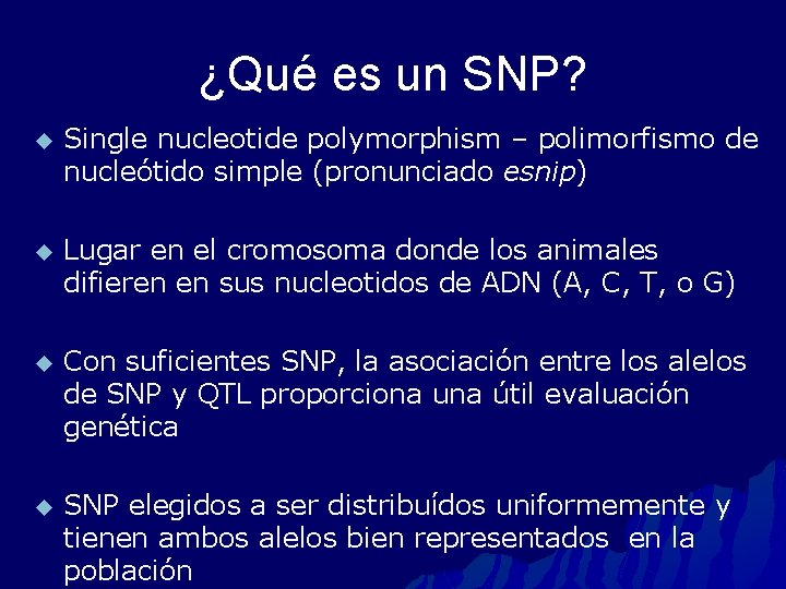 ¿Qué es un SNP? u Single nucleotide polymorphism – polimorfismo de nucleótido simple (pronunciado