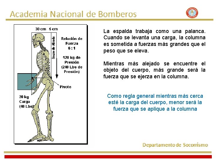 La espalda trabaja como una palanca. Cuando se levanta una carga, la columna es