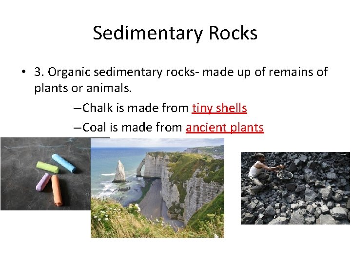 Sedimentary Rocks • 3. Organic sedimentary rocks- made up of remains of plants or