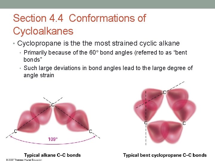 Section 4. 4 Conformations of Cycloalkanes • Cyclopropane is the most strained cyclic alkane
