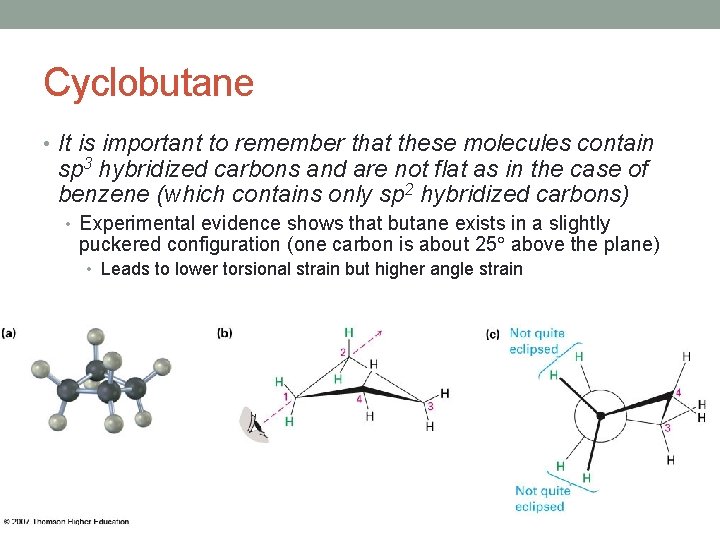 Cyclobutane • It is important to remember that these molecules contain sp 3 hybridized