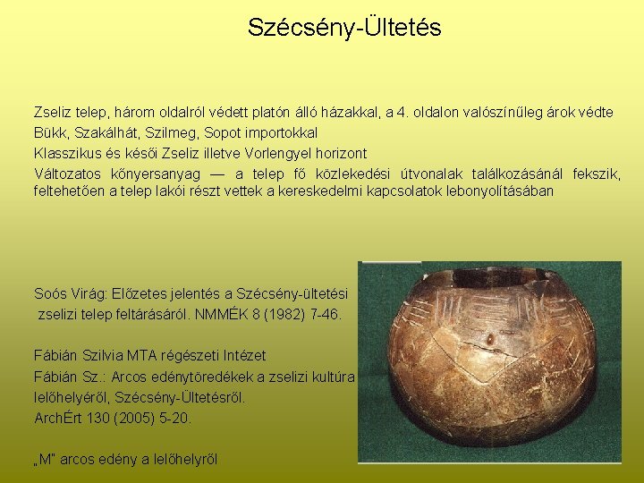 Szécsény-Ültetés Zseliz telep, három oldalról védett platón álló házakkal, a 4. oldalon valószínűleg árok