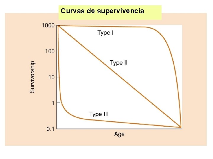 Curvas de supervivencia 