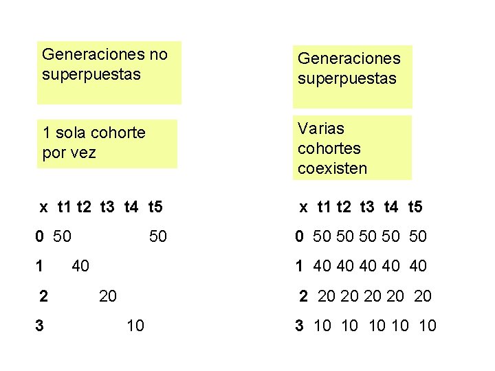 Generaciones no superpuestas Generaciones superpuestas 1 sola cohorte por vez Varias cohortes coexisten x