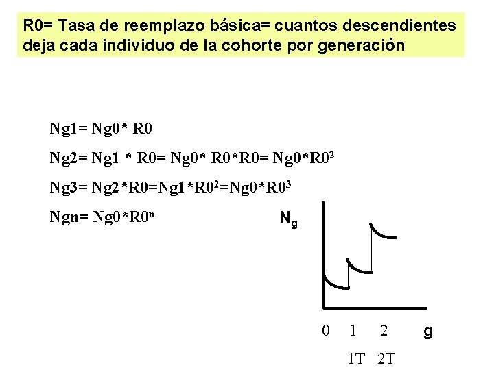 R 0= Tasa de reemplazo básica= cuantos descendientes deja cada individuo de la cohorte