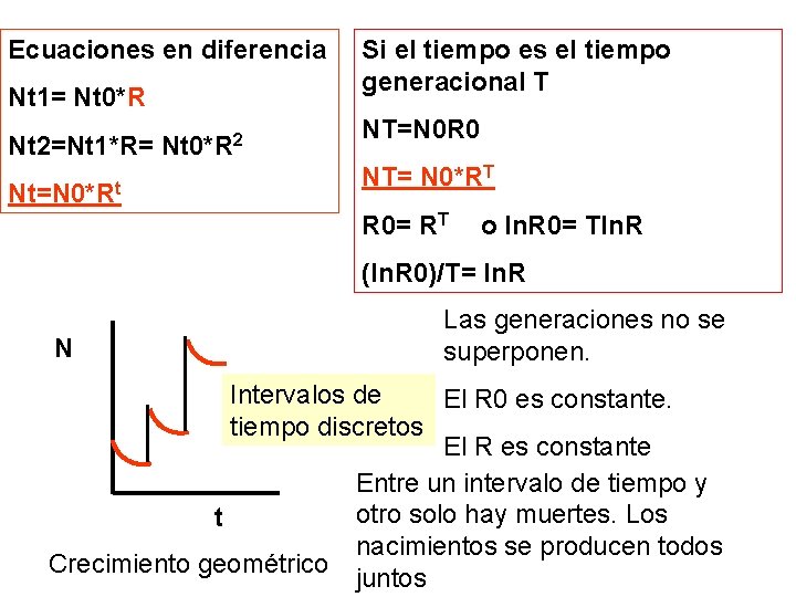 Ecuaciones en diferencia Nt 1= Nt 0*R Nt 2=Nt 1*R= Nt 0*R 2 Nt=N