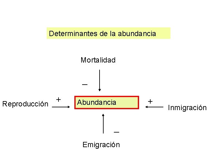 Determinantes de la abundancia Mortalidad _ Reproducción + Abundancia _ Emigración + Inmigración 