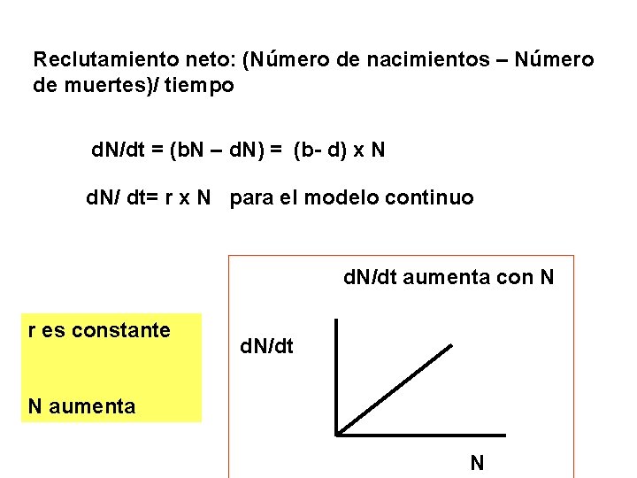 Reclutamiento neto: (Número de nacimientos – Número de muertes)/ tiempo d. N/dt = (b.