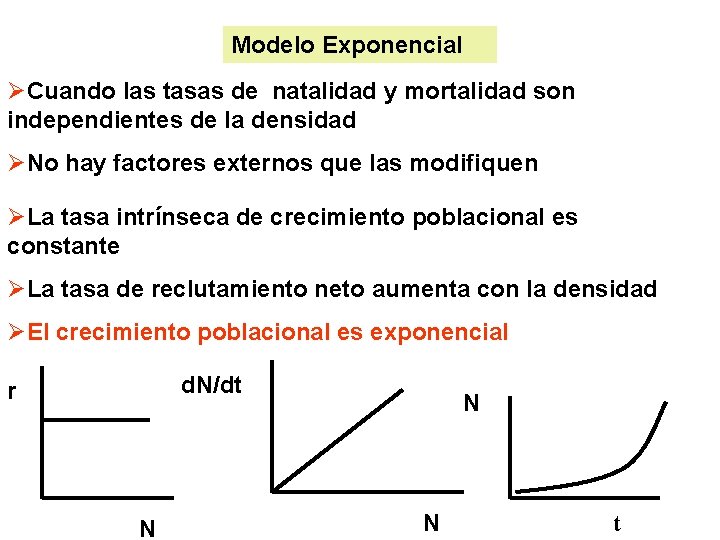 Modelo Exponencial ØCuando las tasas de natalidad y mortalidad son independientes de la densidad