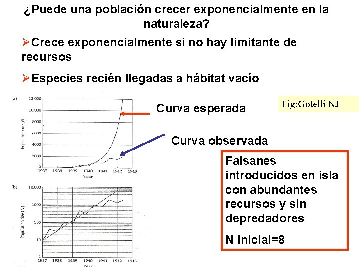 ¿Puede una población crecer exponencialmente en la naturaleza? ØCrece exponencialmente si no hay limitante