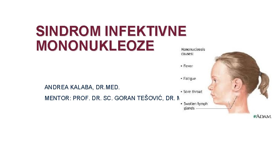 SINDROM INFEKTIVNE MONONUKLEOZE ANDREA KALABA, DR. MED. MENTOR: PROF. DR. SC. GORAN TEŠOVIĆ, DR.