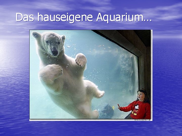 Das hauseigene Aquarium… 