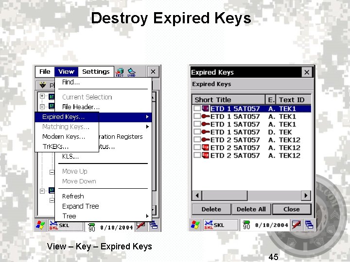 Destroy Expired Keys View – Key – Expired Keys 45 