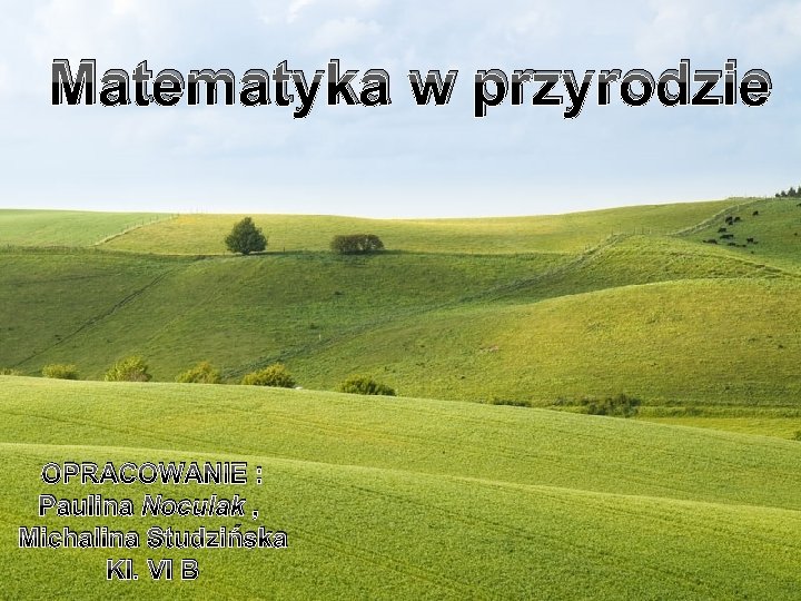 Matematyka w przyrodzie Wykonały: : OPRACOWANIE Michalina, Studzińska i Paulina Noculak VIB Michalina kl.