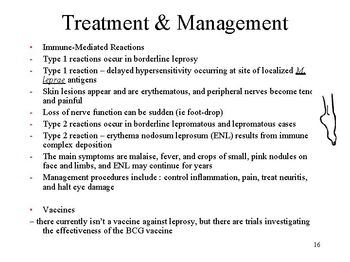 Treatment & Management • - Immune-Mediated Reactions Type 1 reactions occur in borderline leprosy