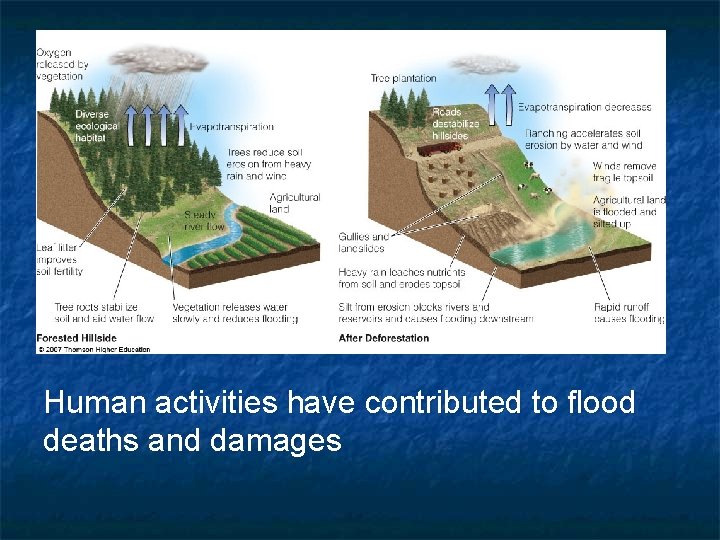 Human activities have contributed to flood deaths and damages 