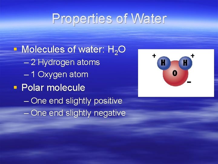 Properties of Water § Molecules of water: H 2 O – 2 Hydrogen atoms