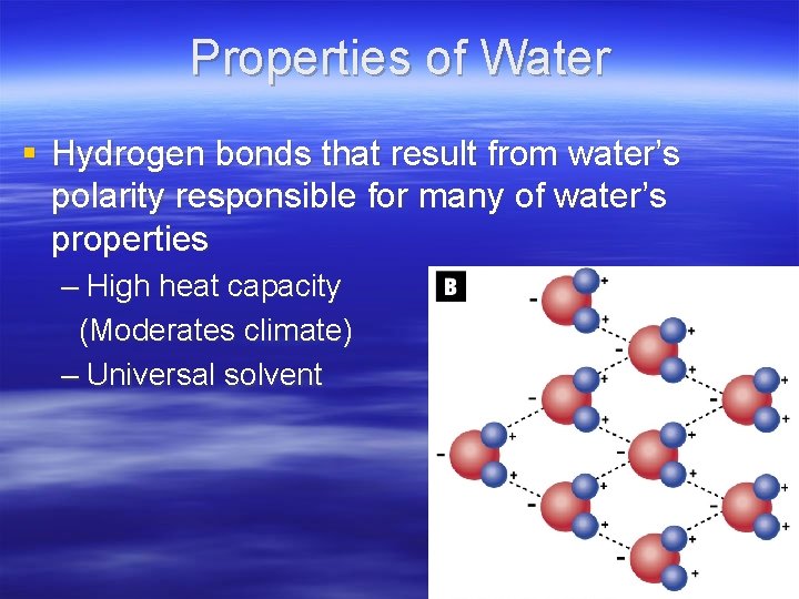 Properties of Water § Hydrogen bonds that result from water’s polarity responsible for many