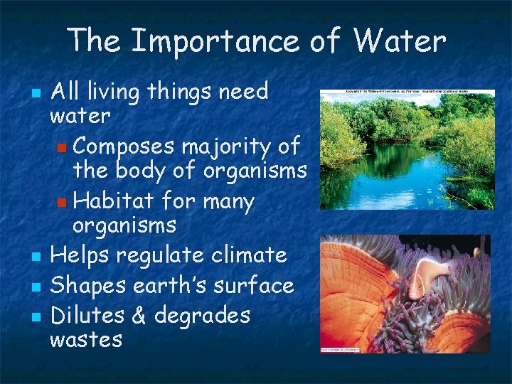 The Importance of Water n n All living things need water n Composes majority