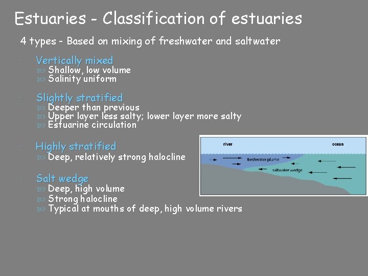 Estuaries - Classification of estuaries 4 types - Based on mixing of freshwater and
