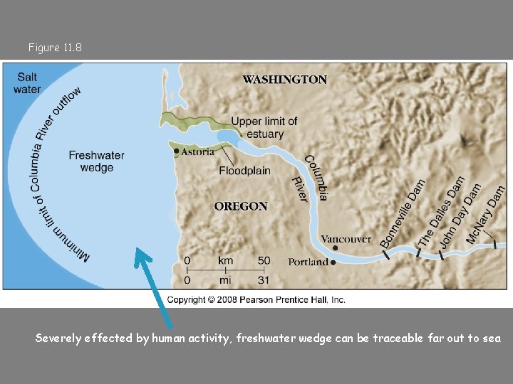 Figure 11. 8 Severely effected by human activity, freshwater wedge can be traceable far