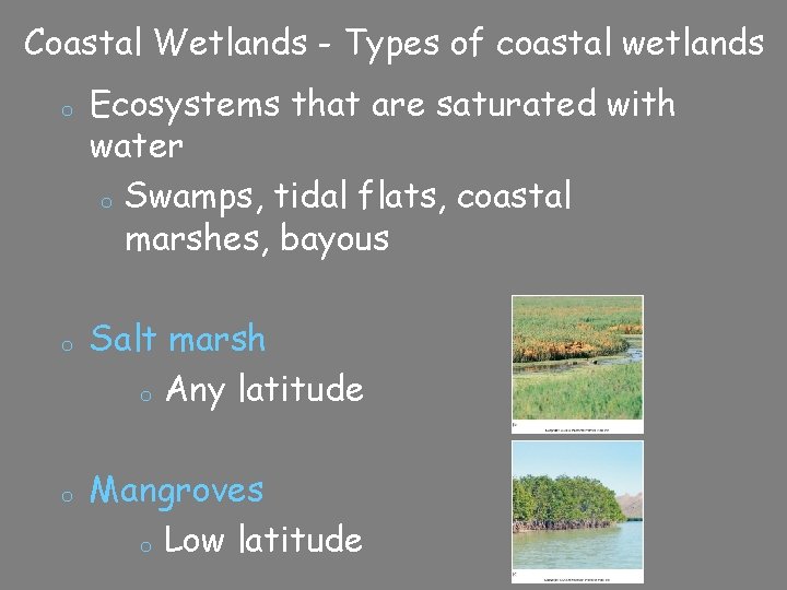 Coastal Wetlands - Types of coastal wetlands o o o Ecosystems that are saturated