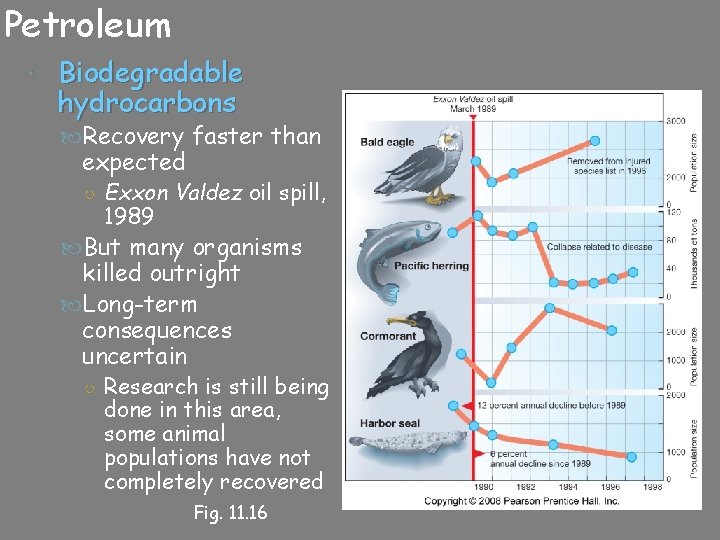 Petroleum Biodegradable hydrocarbons Recovery faster than expected ○ Exxon Valdez oil spill, 1989 But
