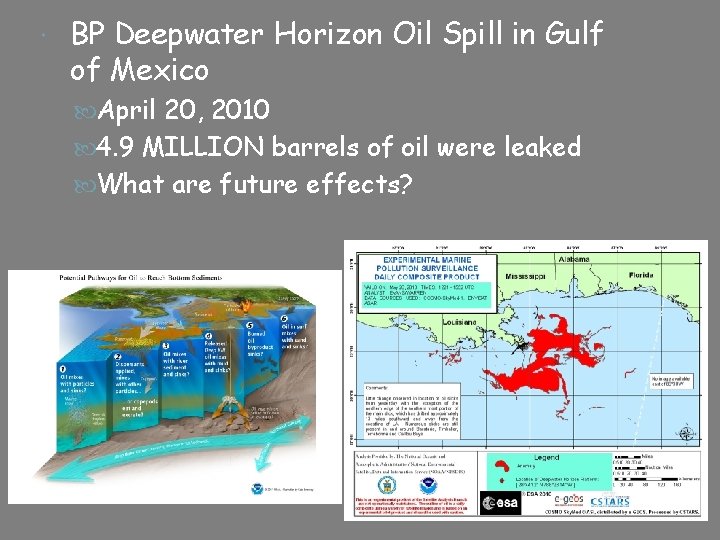  BP Deepwater Horizon Oil Spill in Gulf of Mexico April 20, 2010 4.